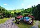 Pensiune de vânzare | 400 MPU | 10 Camere | Rasinari - Curmatura
