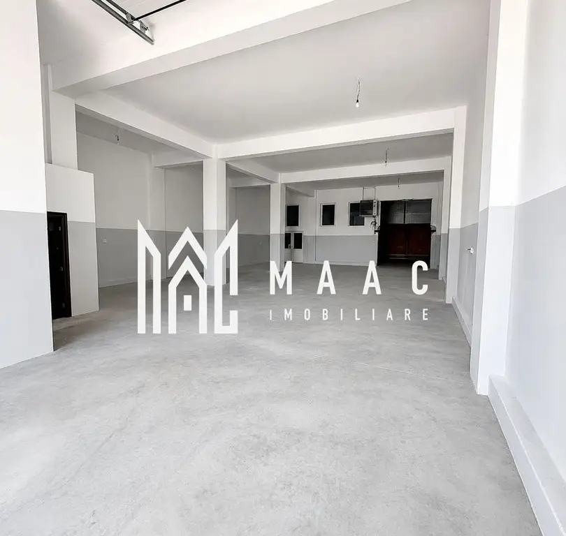Hală industrială | 500 mp | Curte 600 mp | Zona Terezian