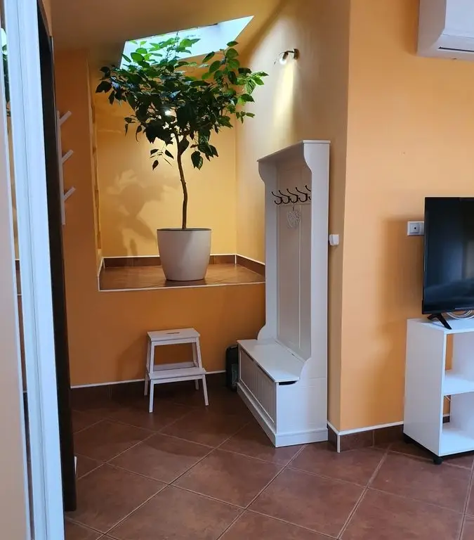 BRASADAS închiriază ap 2 cam la MANSARDA zona Dorobanti.