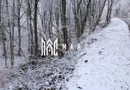 Teren de vanzare I izvor apă minerală  Dangești I 2 Hectare