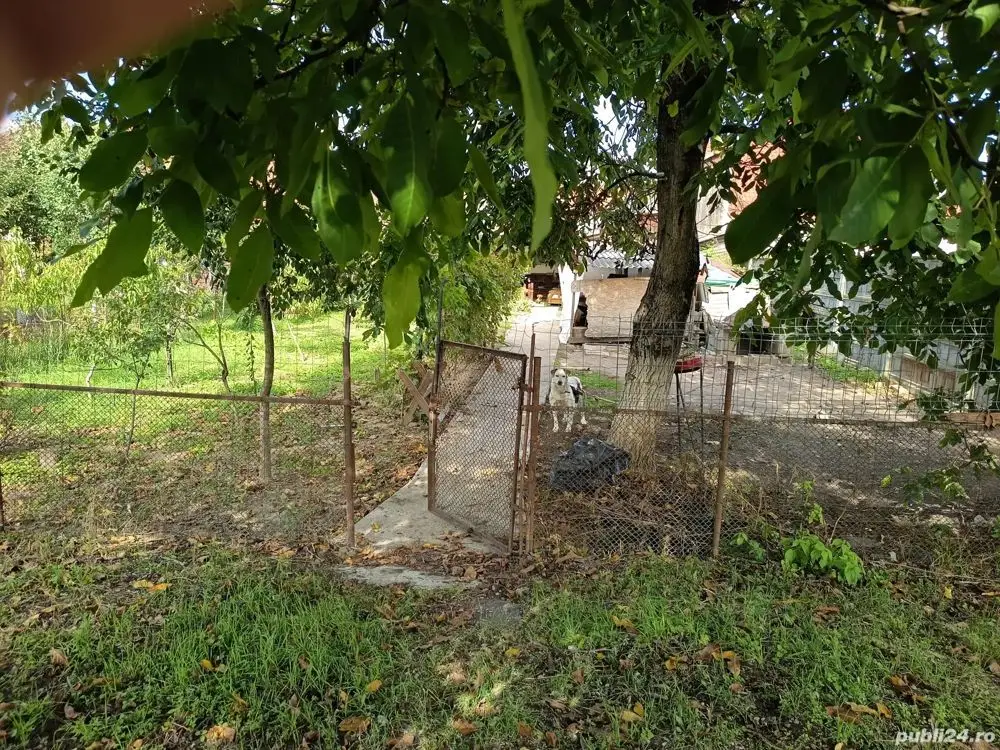 BRASADAS vinde casă 4 cam zona UNIO pentru două familii.