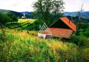 CASĂ și TEREN 85.000 mp – Casa părintească Părintele Arsenie Boca