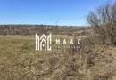 Teren | Intravilan | 400 MPU | Daia