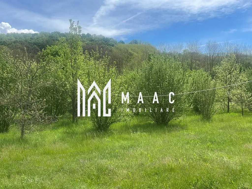 Teren extravilan 61.000 mp | Veseud, Sibiu | plantație aluni, trufe