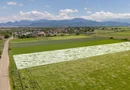 Teren 9.300 mp Stupini | Front 45.59 m la Asfalt | PUG Zonă L1c