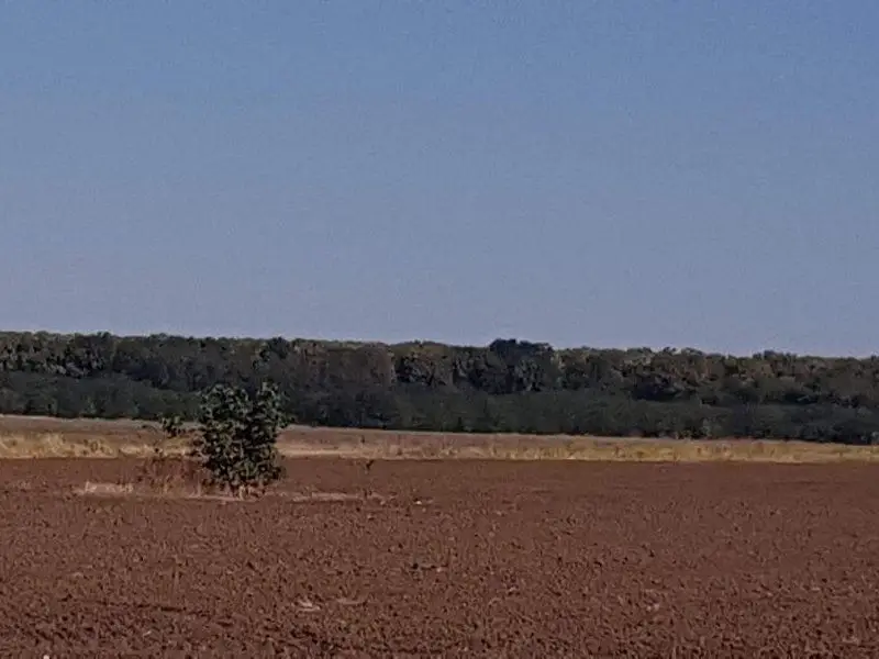 Branesti teren intravilan 30700 mp