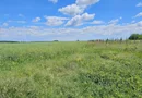 Teren extravilan Tancabesti