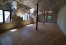 BRASADAS vinde casa cu gradina si garaj.