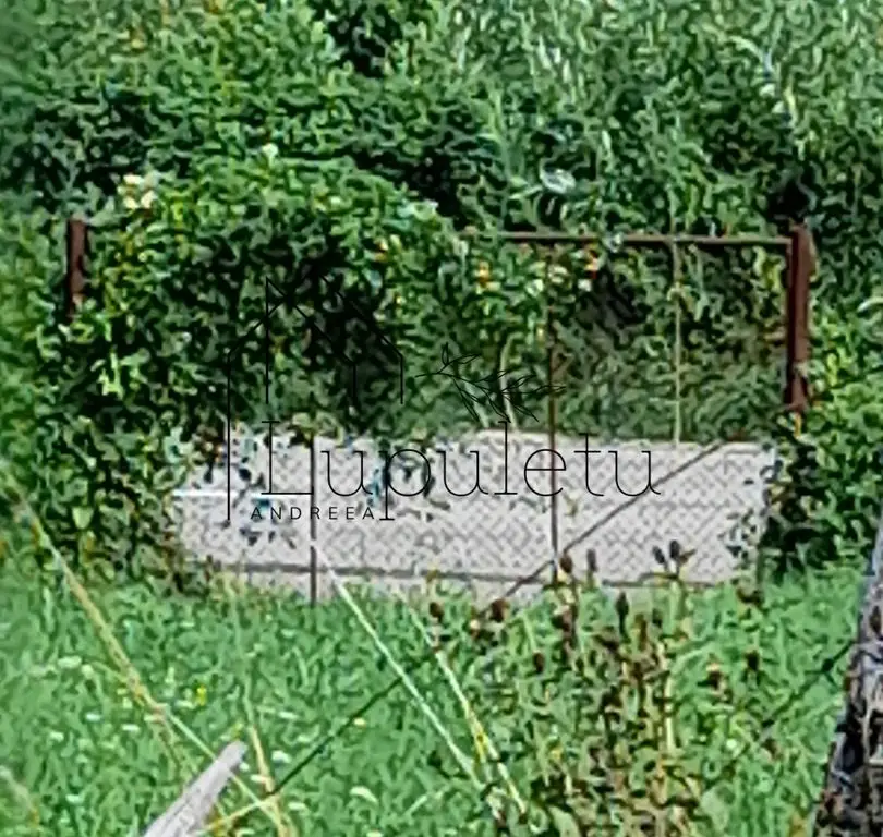 Teren Intravilan | 1500 MPU | Tocile, Comuna Sadu