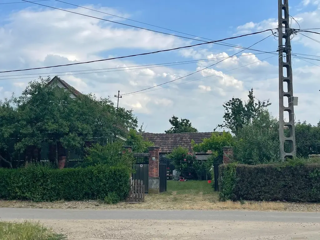 Vindem casă tradițională in sat Sabolciu,central, 4500 mp- 76.000 euro