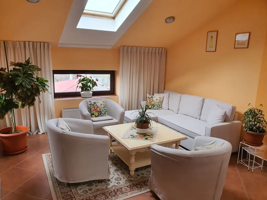 BRASADAS închiriază ap 2 cam la MANSARDA zona Dorobanti.