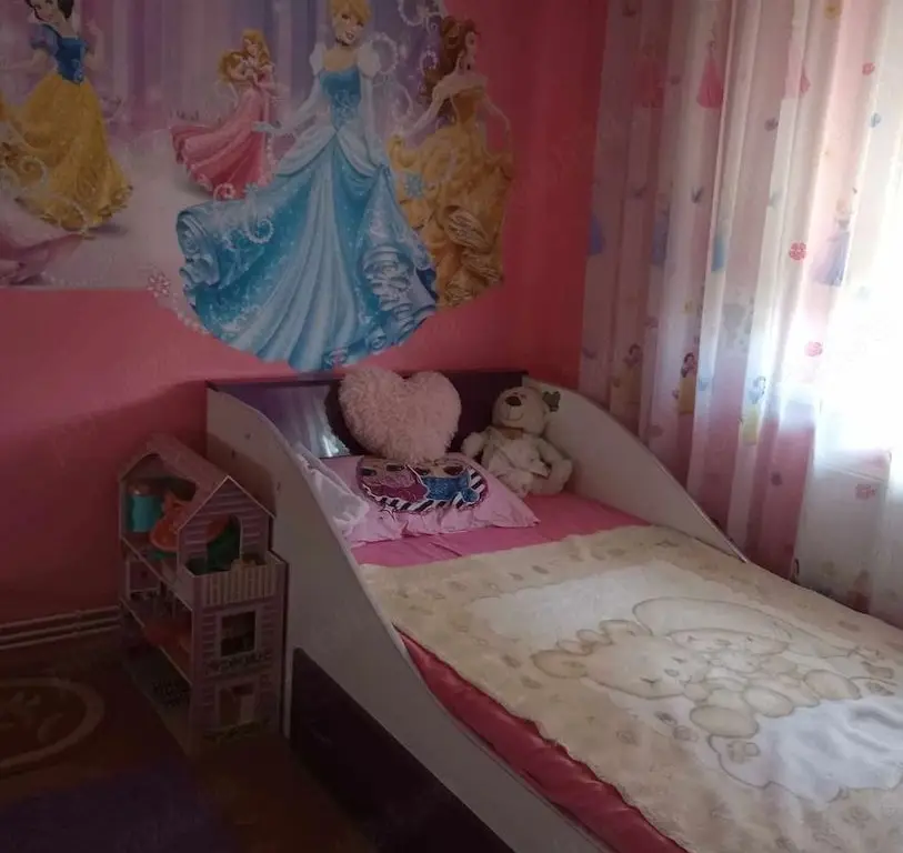 BRASADAS vinde ap 2 cam decomandat pe Careiului in Micro 16.