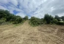 Iasi - Tomesti 3600mp intravilan intre case zona linistita + utilități