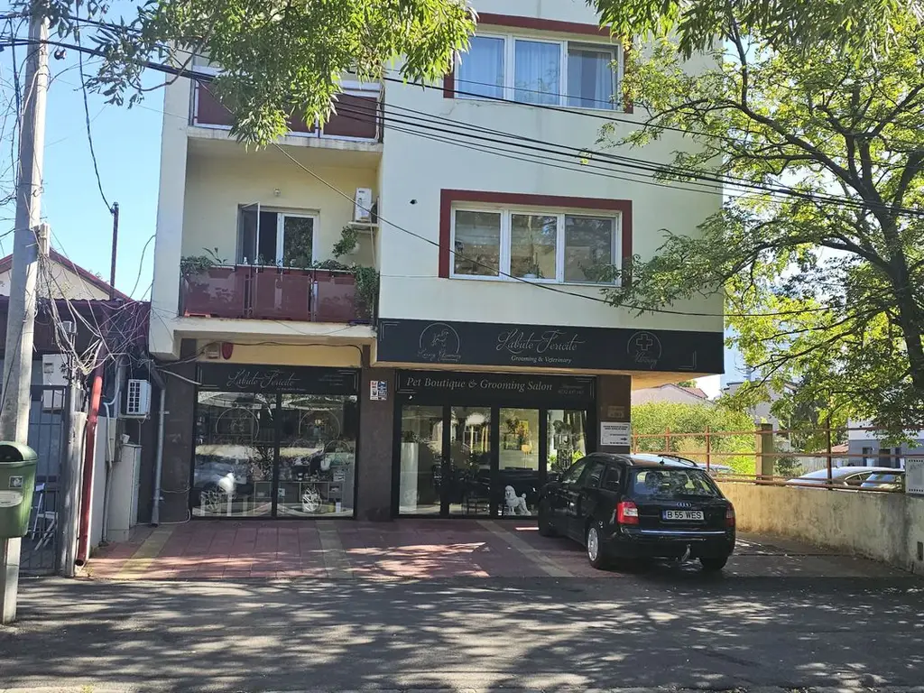 OCAZIE Spatiu Comercial Herastrau/Aviatiei