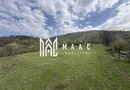 Teren de vânzare, 7750 mp I Orientare sudică I Caineni