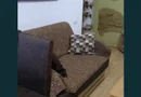 De vanzare apartament cu 2 camere