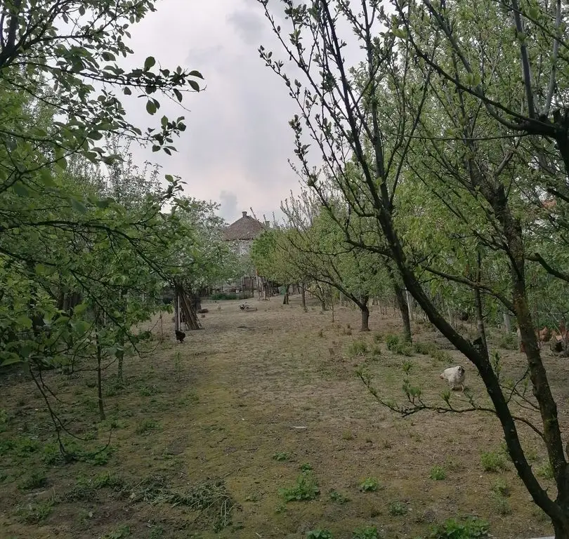 Ag EUROPA vinde casa 6 cam teren 11 ari în zona 14 Mai.