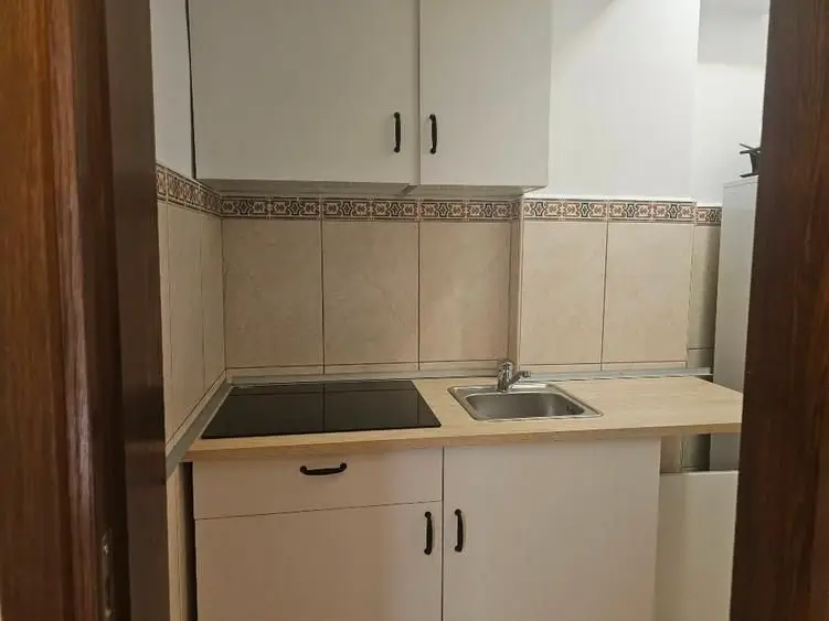 BRASADAS inchiriaza vila RENOVATA Unirii