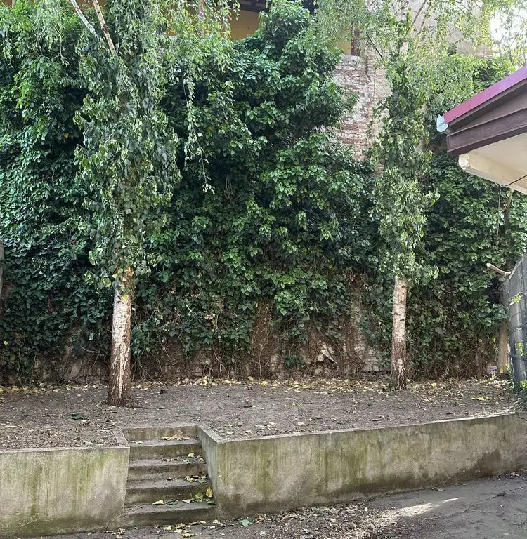 BRASADAS vinde ap 2 cam zona ultracentrala.