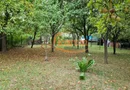 Proprietate individuala-3 apartamente,spatiu comercial,garaje,gradina,curte