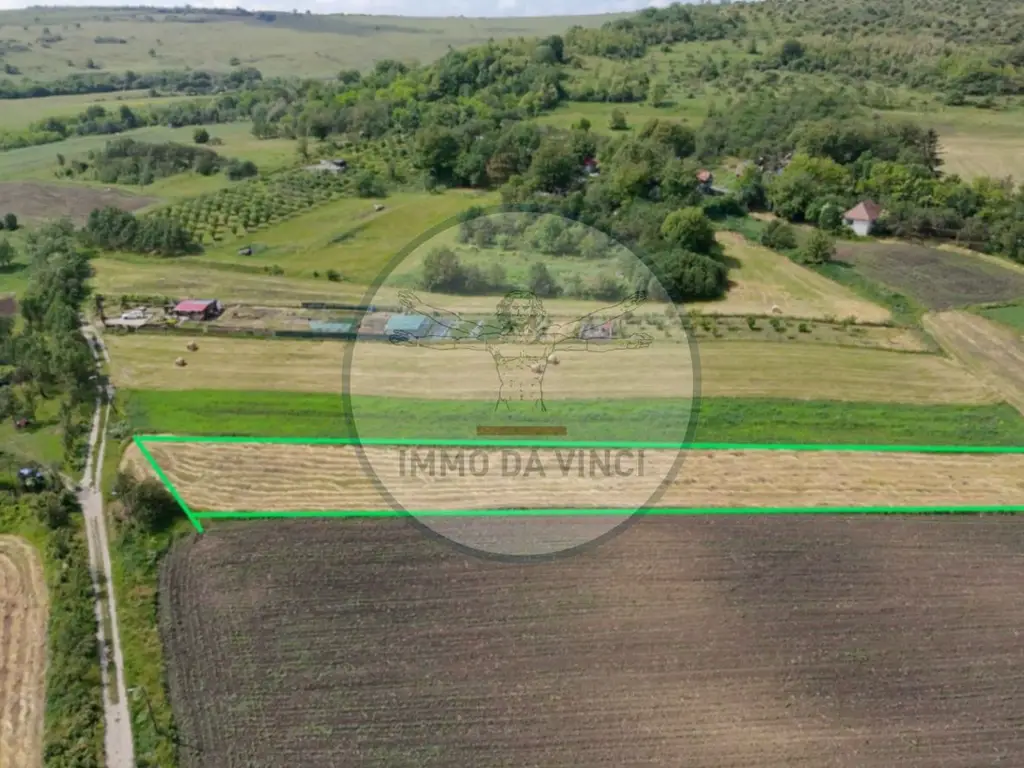Teren Intravilan 1.439 mp Borșa, Cluj – Ideal Casă sau Cabană