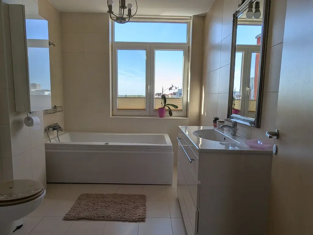 Penthouse, 100 mp utili, 50 mp terase