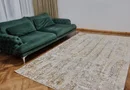 Ag BRASADAS vinde vila 8 camere Parcul Carol