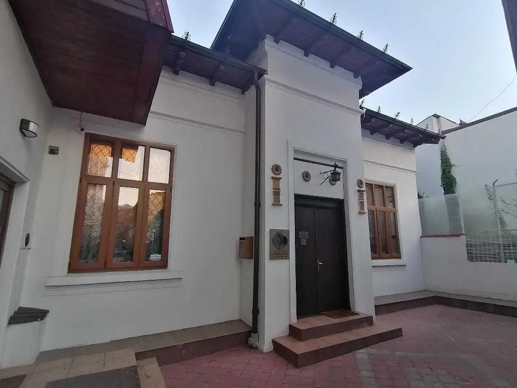 COTROCENI - Cuibușorul de nebunii al pictorului Zamfir DUMITRESCU