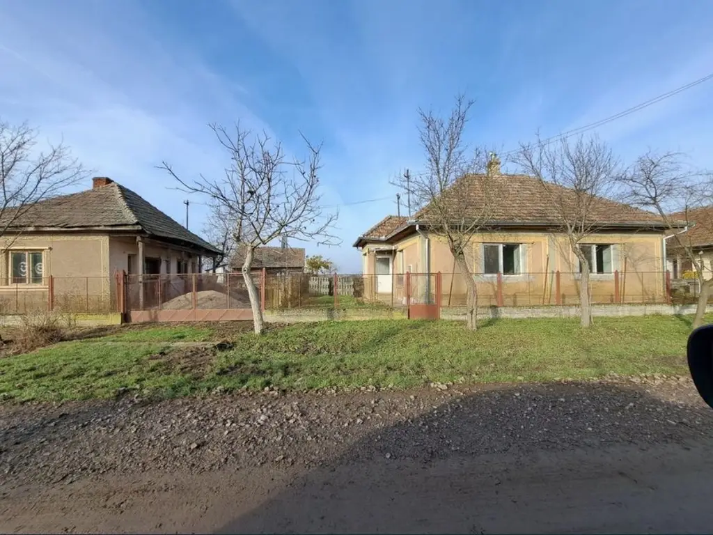 Casa de vanzare Ady Endre