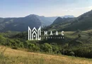 Teren cu potențial turistic I 3200 MP | TransApuseana