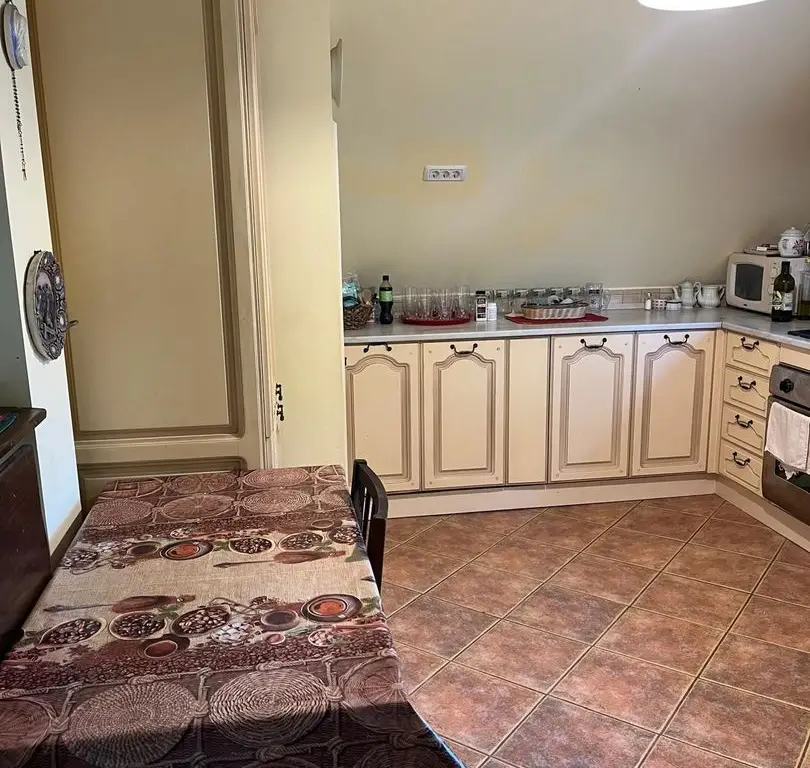 Casă elegantă, spațioasă, ideală pentru familie – Sanmihaiu Roman