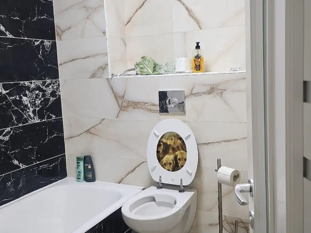 EXCLUSIVITATE -  CASA MODERNA -  4 DORMITOARE - Mazepa 2