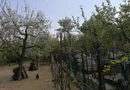 Ag EUROPA vinde casa 6 cam teren 11 ari în zona 14 Mai.