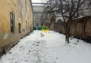 Casa/ Spatiu Birou, Curte 250mp, Parcari, Ultracentral, Avram Iancu