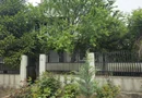 De vanzare -- casa in comuna Pechea, jud. Galati, teren 850 mp