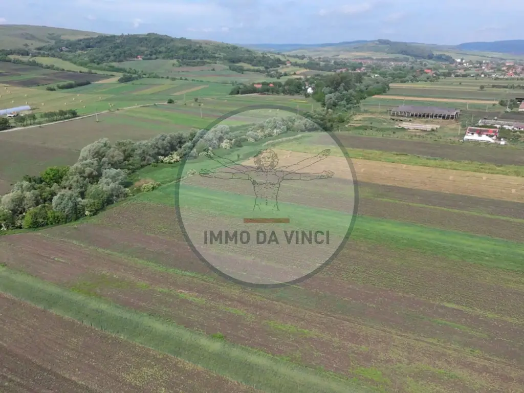 Teren 10.670 mp | Borșa Cluj | Front 38m | Utilități