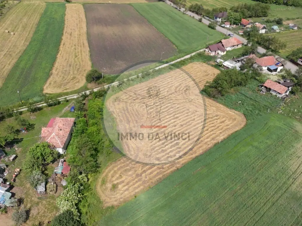 Teren Intravilan 1.439 mp Borșa, Cluj – Ideal Casă sau Cabană