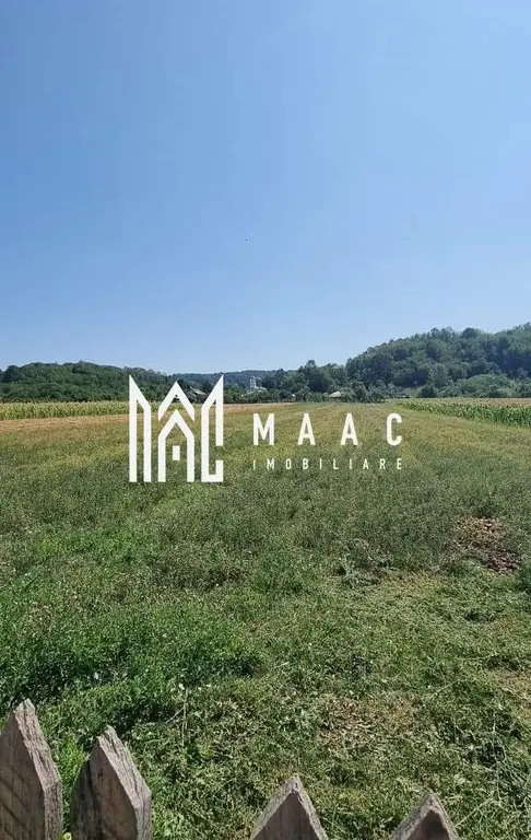 CASA LADESTI-VALCEA| RENOVATA SI MOBILATA| 5000 MP TEREN