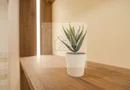 COMISION 0% I 2 camere lux Ivory Residence Pipera I taxare inversa
