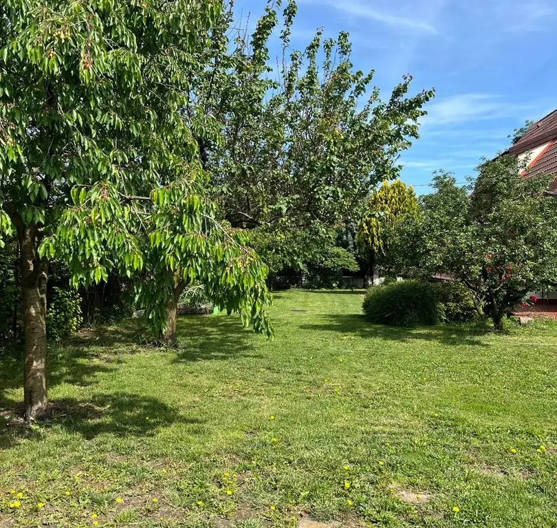 Casă elegantă, spațioasă, ideală pentru familie – Sanmihaiu Roman