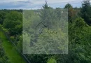Apartament 3 camere Iancu Nicolae - Grand Park Pipera langa padure