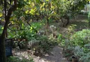 Casă și teren zonă ultracentrală,560 000 euro
