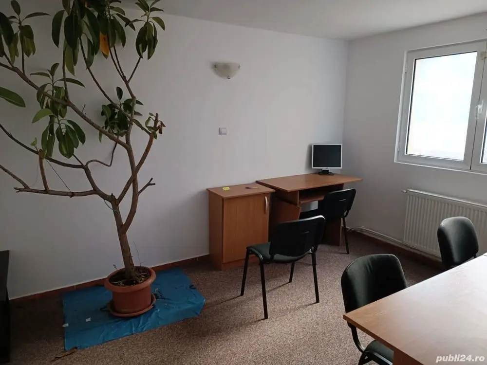 Vand vila spatiu comercial 200m