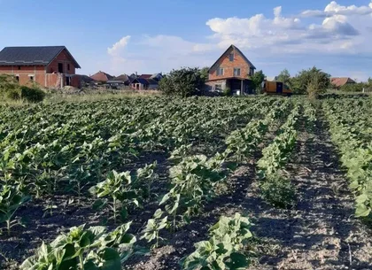 Ag EUROPA vinde 8 ari teren intravilan in Amati cu frontul de 30 metri