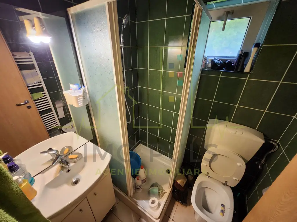 Casa individuala. Brancoveanu - Musicescu. Mobilata si utilata.