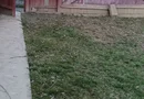 Mă vinde ușor și rapid!!!