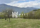 Teren de vânzare, 7750 mp I Orientare sudică I Caineni