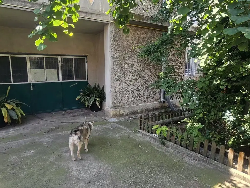 De vanzare casa ultracentral, 220.000 euro