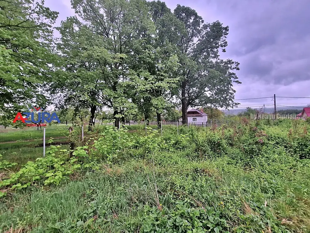 AZURA Imobiliare - Budeasa, Teren 5.069 mp, Casa BONUS