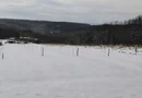 Teren cu o priveliste superba langa padure